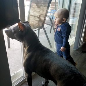 Meet your Posher, Kari